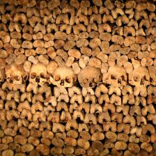 Ossements, Catacombes, Paris. © Musée Carnavalet / Philippe Ladet / Mairie de Paris